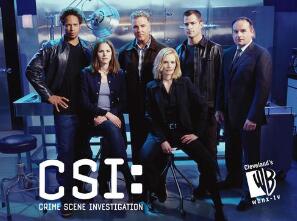 犯罪现场调查第五至七季/全集CSI 犯罪现场调查第五至七季/全集CSI